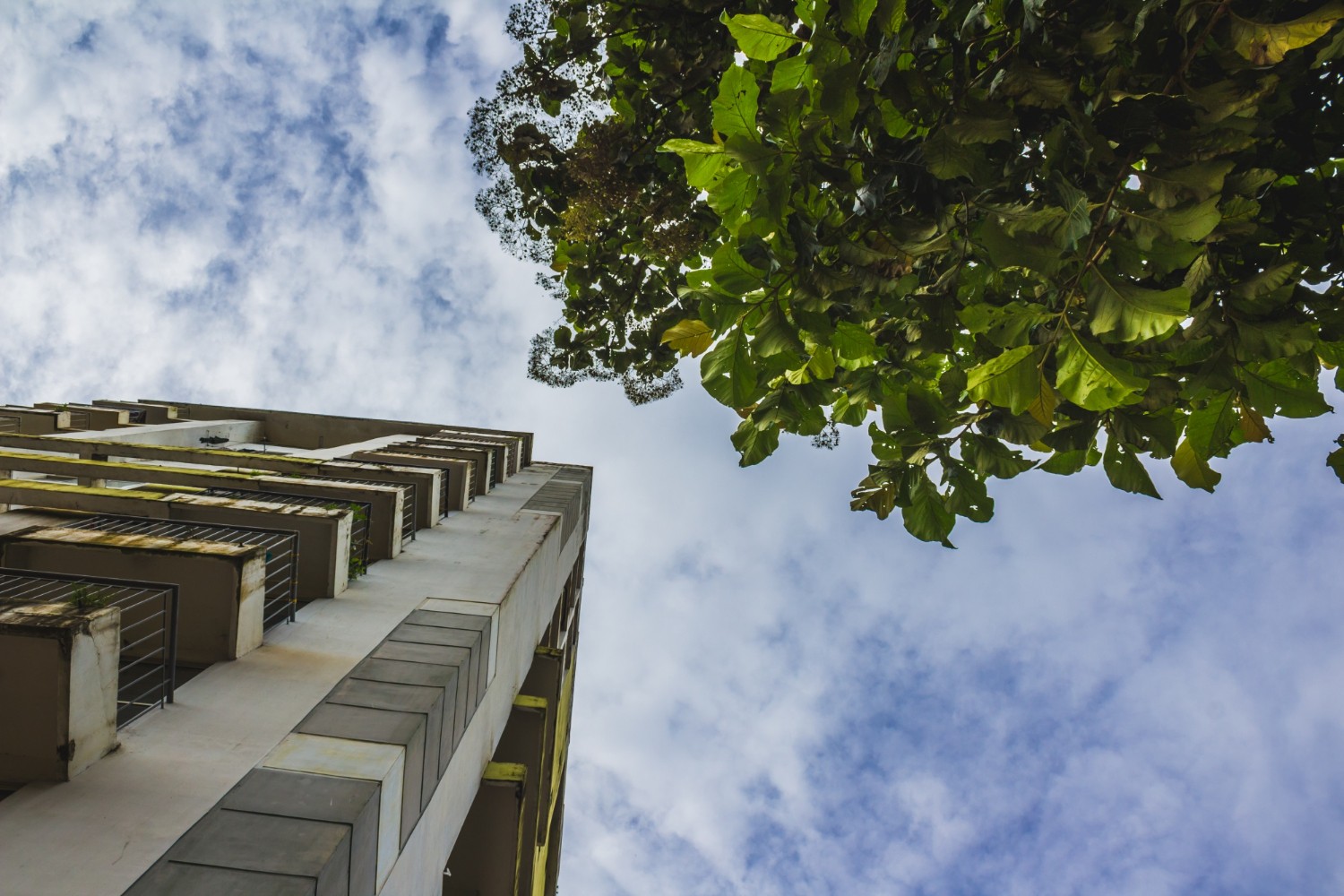 L/R/P lawyers became members of the Slovak Green Building Council